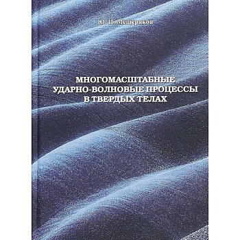 Многомасштабные ударно-волновые процессы в твердых телах