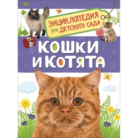 Животный и растительный мир, книга Кошки и котята купить по скидке