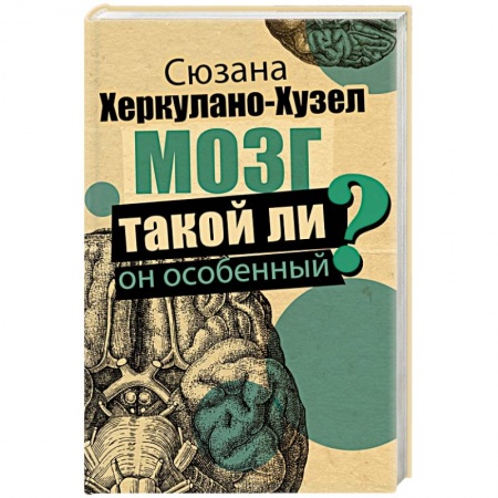 Анатомия и физиология человека, книга Мозг. Такой ли он особенный? купить по скидке