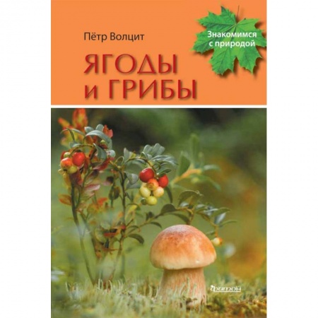 Животный и растительный мир, книга Ягоды и грибы купить по скидке