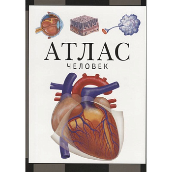 Атлас.Человек