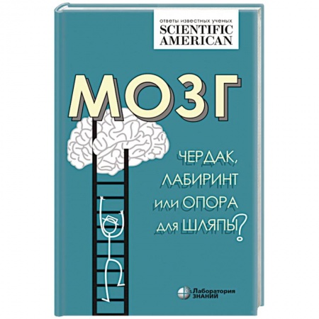 Анатомия и физиология человека, книга Мозг: чердак, лабиринт или опора для шляпы? купить по скидке