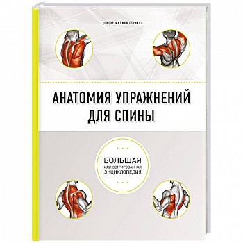 Анатомия упражнений для спины