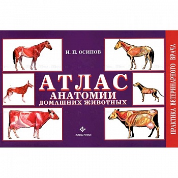 Атлас анатомии домашних животных