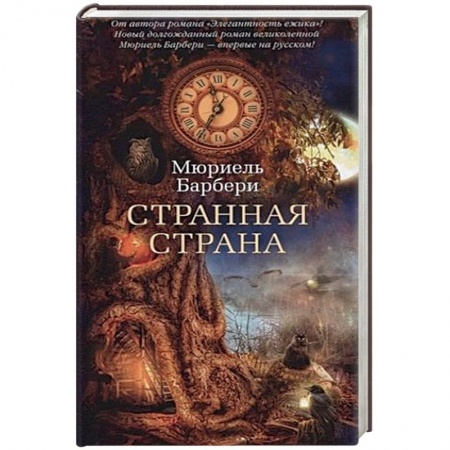 Зарубежное фэнтези, книга Странная страна купить по скидке