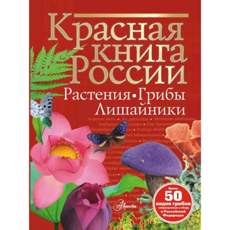 Животный и растительный мир, книга Красная книга России. Растения Грибы Лишайники купить по скидке